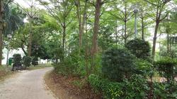 Blk 468 Jurong West Street 41 (Jurong West), HDB 5 Rooms #120318232
